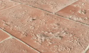 Foto ravvicinata di pavimento in cotto toscano per esterno